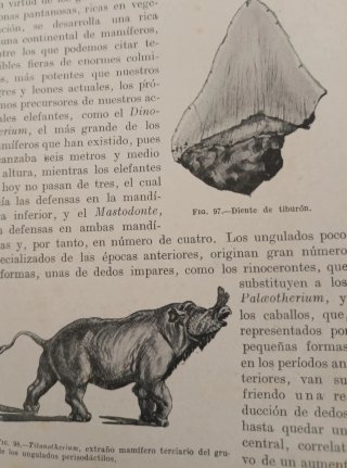 Libro de historia natural