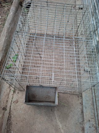 Jaula metálica para animales
