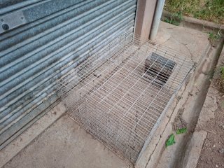 Jaula metálica para animales