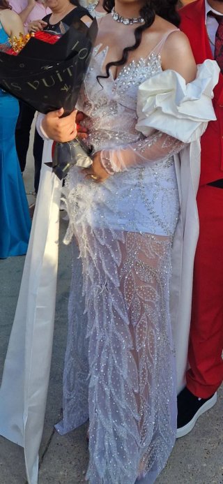 Vestido de Novia Plata y Blanco