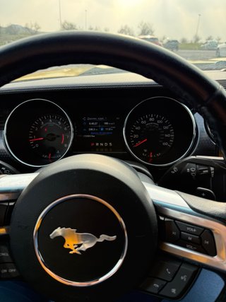 Ford Mustang 2019