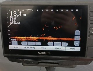 Sonda Garmin Panoptix Livescope