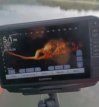 Sonda Garmin Panoptix Livescope