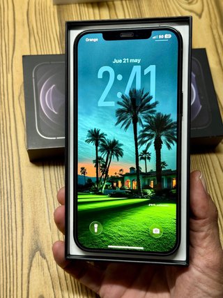 iPhone 12 Pro Max