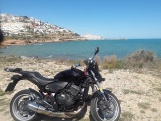 Honda CB 600 Hornet ABS