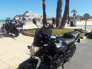 Honda CB 600 Hornet ABS