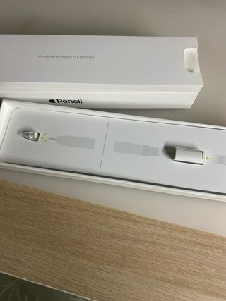 Apple Pencil 1ª Gen