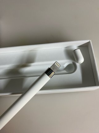 Apple Pencil 1ª Gen