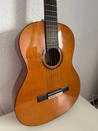 Guitarra clasica admira Malaga