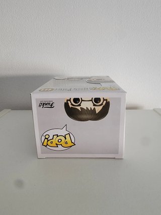 Funko Pop! Harry Potter 111 Special Edition