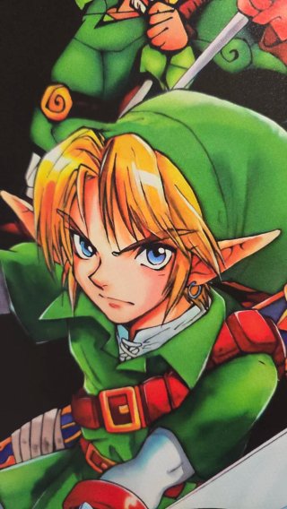 Link Anniversary Poster PVC 70x50cm