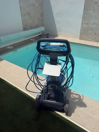Limpiafondos piscina Dolphi negro