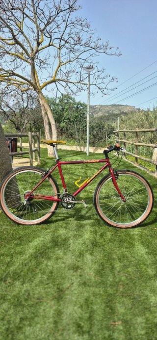 Bicicleta de montaña Specialized roja