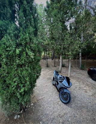 Yamaha R6 Sportbike Gris