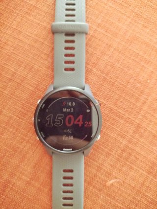 Garmin Forerunner 255