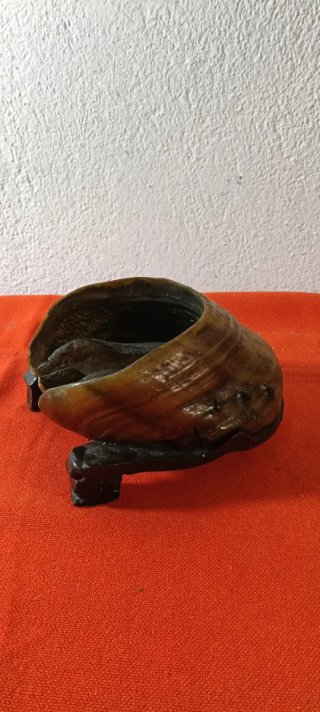 Zoccolo cavallo fermacarte