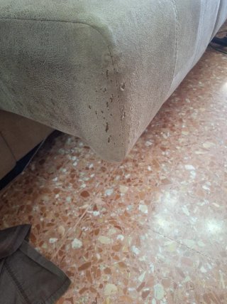 Sofá grande gris de tela impermeable