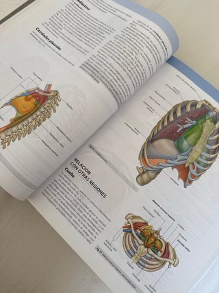 Libro anatomia GRAY para estudiantes.