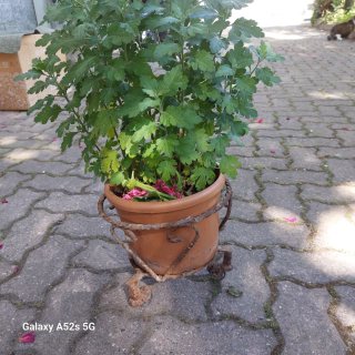 Portavaso in ferro battuto con rotelle