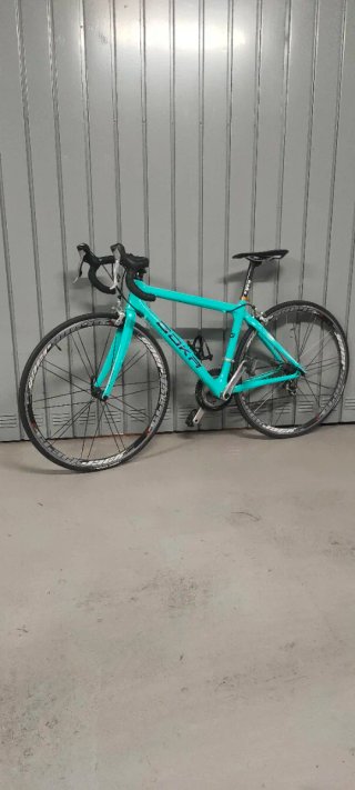 Bicicleta Carbono Goka