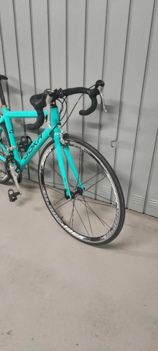 Bicicleta Carbono Goka