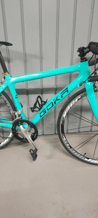 Bicicleta Carbono Goka