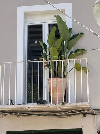 Oficina en alquiler en Centro en Castellón de la Plana