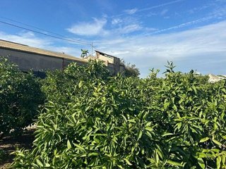 Terreno en venta en Sueca ciudad en Sueca