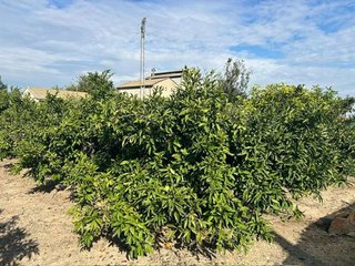 Terreno en venta en Sueca ciudad en Sueca