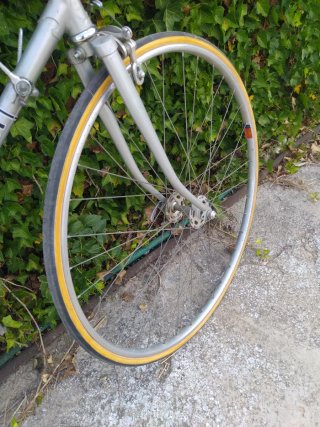 Bicicleta Clásica Gimondi
