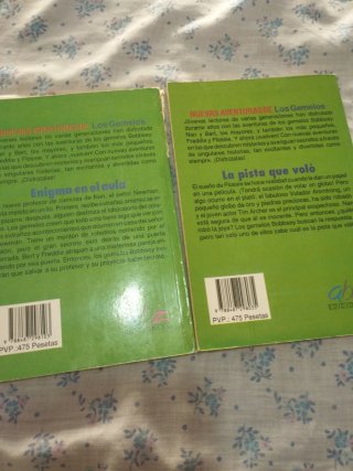Lote de 2 libros infantiles: Los gemelos.