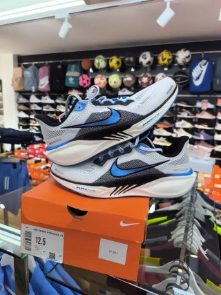 Nike Air Zoom Pegasus 41