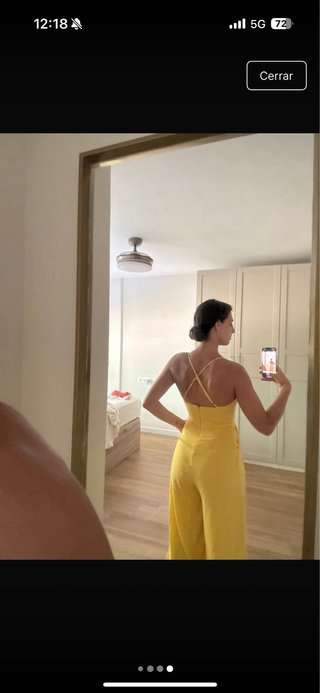 Mono amarillo de verano