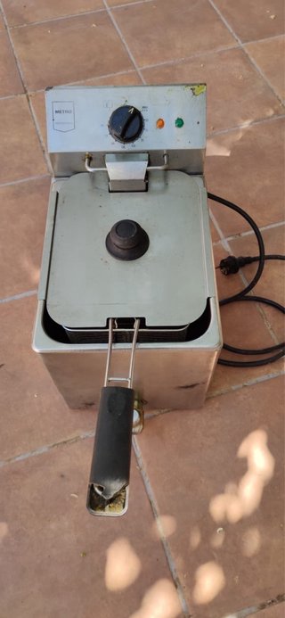 Freidora Eléctrica Profesional 10L Acero