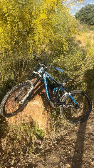 Giant Glory Bicicleta Descenso 26