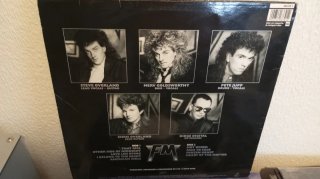 Vinilo FM - Indiscreet