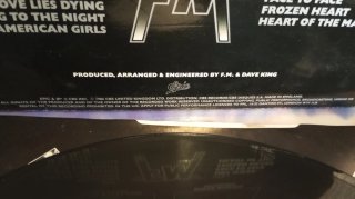 Vinilo FM - Indiscreet