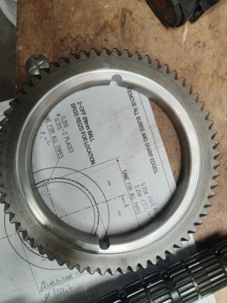 Grupo 13x59 autoblocante