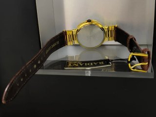 Reloj Radiant Dorado con Correa Marrón