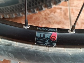 Ruedas MTB 29 con Discos