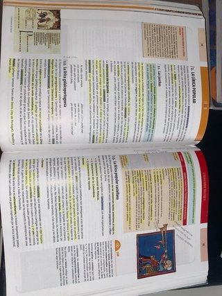 Lengua castellana y Literatura I 1º Bachillerato