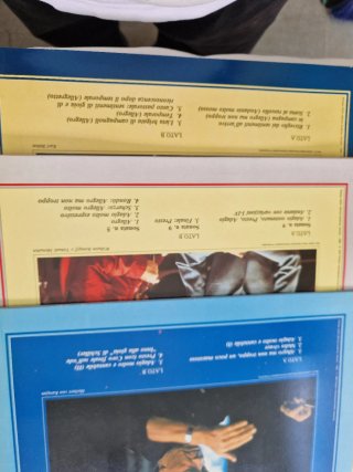 8  Vinili Beethoven Lirica 33 Giri