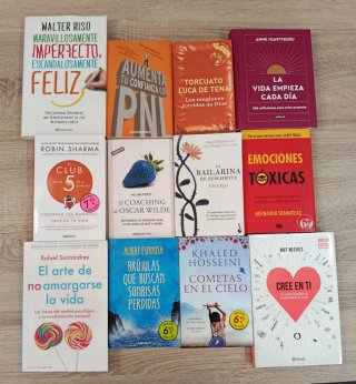 Lote de libros
