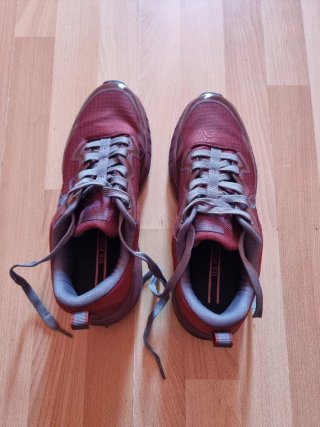 Zapatos U.S. Polo Assn. grises y rojos