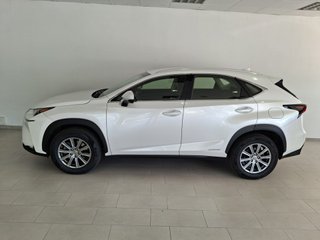 Lexus NX 2018