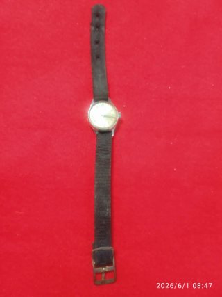Reloj Cauny Mujer Vintage Mecánico 17 Rubíes