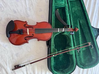 Viola 12 pulgadas.