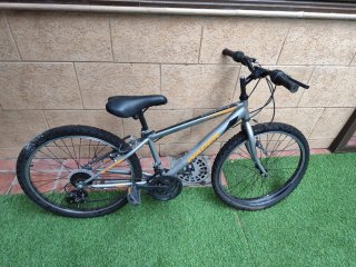 Bicicleta Wader Gris