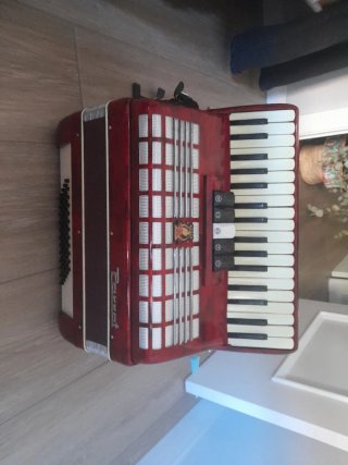 Fisarmonica Parrot 60 bassi