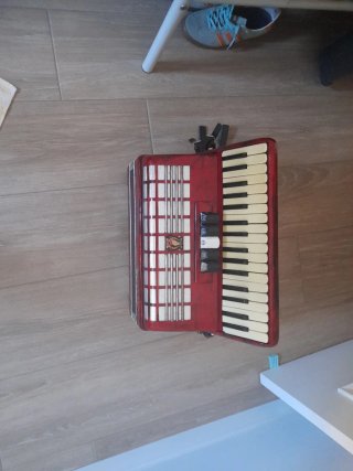 Fisarmonica Parrot 60 bassi